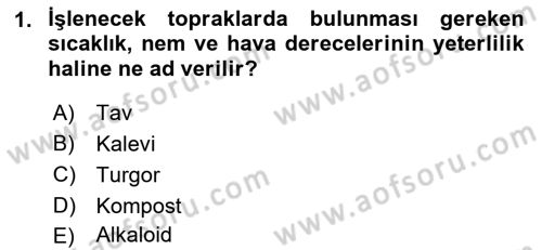 Tarla Bitkileri 2 Dersi 2021 - 2022 Yılı Yaz Okulu Sınav Soruları 1. Soru
