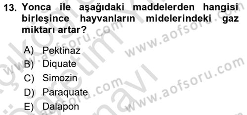 Tarla Bitkileri 2 Dersi 2021 - 2022 Yılı Yaz Okulu Sınav Soruları 13. Soru