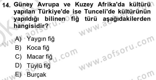 Tarla Bitkileri 2 Dersi 2021 - 2022 Yılı Yaz Okulu Sınav Soruları 14. Soru