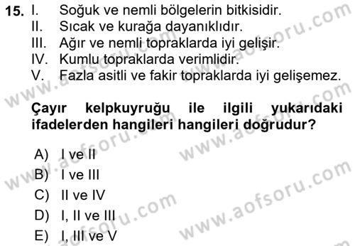 Tarla Bitkileri 2 Dersi 2021 - 2022 Yılı Yaz Okulu Sınav Soruları 15. Soru