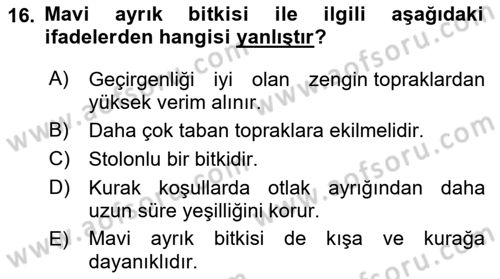 Tarla Bitkileri 2 Dersi 2021 - 2022 Yılı Yaz Okulu Sınav Soruları 16. Soru