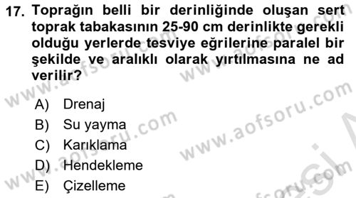 Tarla Bitkileri 2 Dersi 2021 - 2022 Yılı Yaz Okulu Sınav Soruları 17. Soru