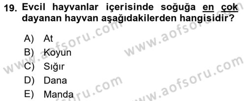 Tarla Bitkileri 2 Dersi 2021 - 2022 Yılı Yaz Okulu Sınav Soruları 19. Soru
