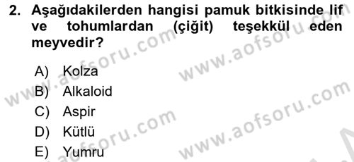 Tarla Bitkileri 2 Dersi 2021 - 2022 Yılı Yaz Okulu Sınav Soruları 2. Soru