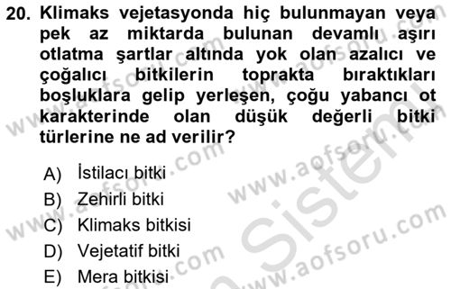 Tarla Bitkileri 2 Dersi 2021 - 2022 Yılı Yaz Okulu Sınav Soruları 20. Soru