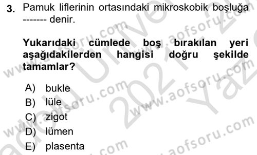 Tarla Bitkileri 2 Dersi 2021 - 2022 Yılı Yaz Okulu Sınav Soruları 3. Soru