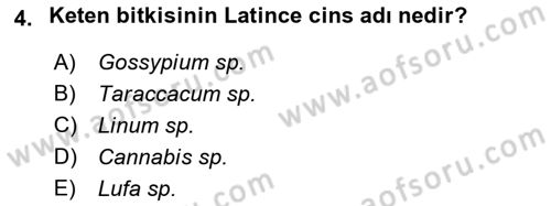 Tarla Bitkileri 2 Dersi 2021 - 2022 Yılı Yaz Okulu Sınav Soruları 4. Soru