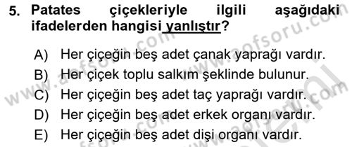 Tarla Bitkileri 2 Dersi 2021 - 2022 Yılı Yaz Okulu Sınav Soruları 5. Soru