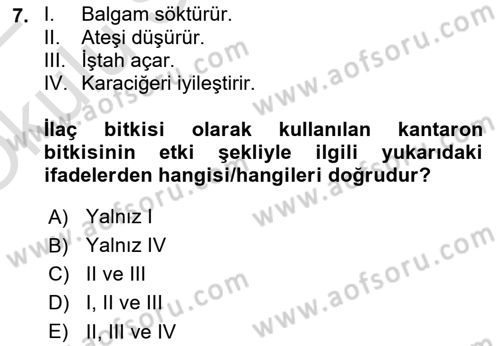 Tarla Bitkileri 2 Dersi 2021 - 2022 Yılı Yaz Okulu Sınav Soruları 7. Soru