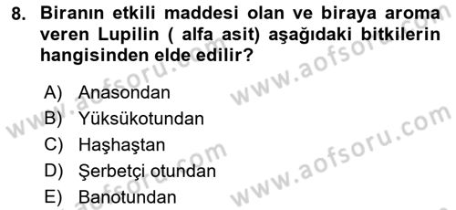 Tarla Bitkileri 2 Dersi 2021 - 2022 Yılı Yaz Okulu Sınav Soruları 8. Soru