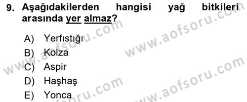 Tarla Bitkileri 2 Dersi 2021 - 2022 Yılı Yaz Okulu Sınav Soruları 9. Soru