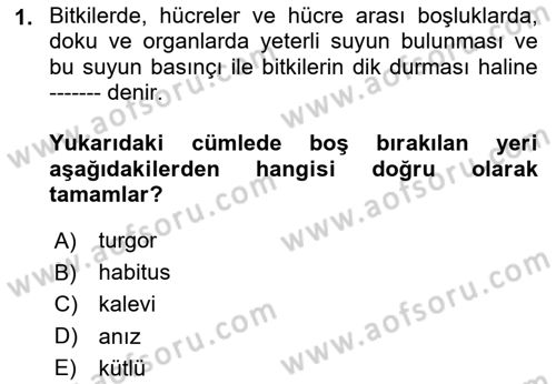 Tarla Bitkileri 2 Dersi 2023 - 2024 Yılı (Vize) Ara Sınav Soruları 1. Soru