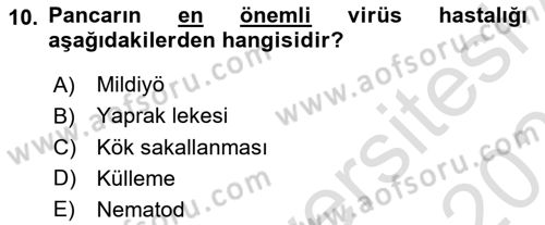 Tarla Bitkileri 2 Dersi 2023 - 2024 Yılı (Vize) Ara Sınav Soruları 10. Soru