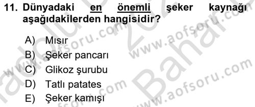 Tarla Bitkileri 2 Dersi 2023 - 2024 Yılı (Vize) Ara Sınav Soruları 11. Soru