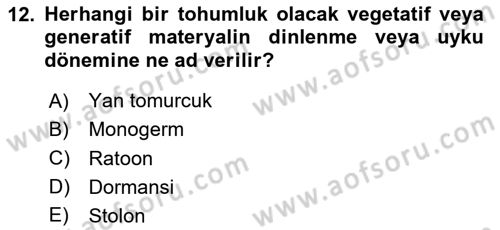 Tarla Bitkileri 2 Dersi 2023 - 2024 Yılı (Vize) Ara Sınav Soruları 12. Soru