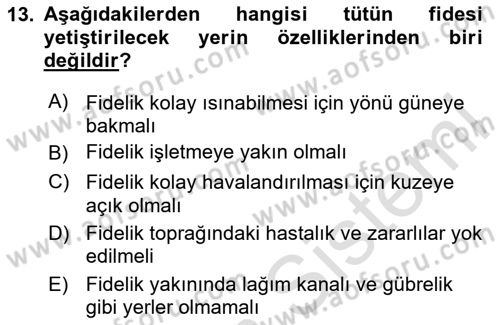 Tarla Bitkileri 2 Dersi 2023 - 2024 Yılı (Vize) Ara Sınav Soruları 13. Soru