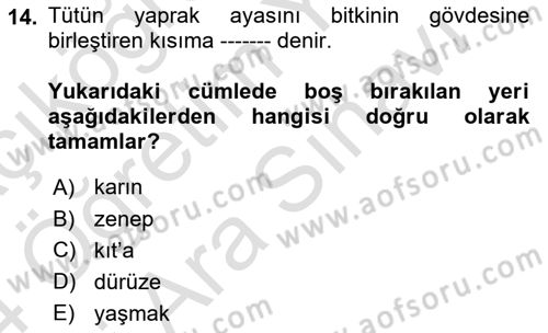 Tarla Bitkileri 2 Dersi 2023 - 2024 Yılı (Vize) Ara Sınav Soruları 14. Soru