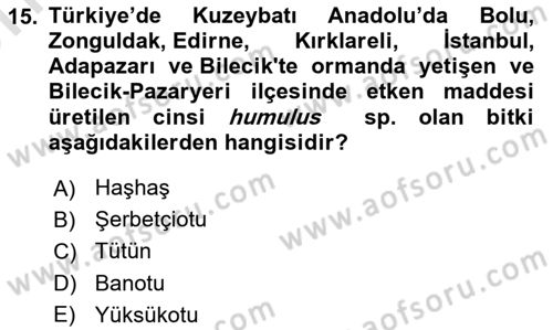 Tarla Bitkileri 2 Dersi 2023 - 2024 Yılı (Vize) Ara Sınav Soruları 15. Soru