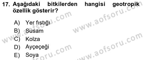 Tarla Bitkileri 2 Dersi 2023 - 2024 Yılı (Vize) Ara Sınav Soruları 17. Soru