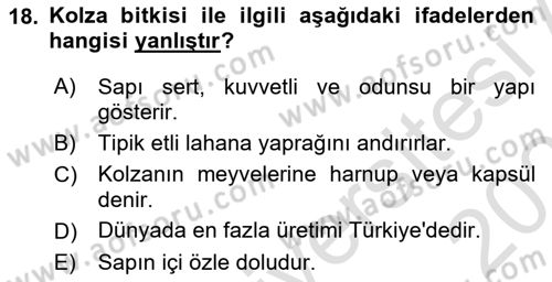 Tarla Bitkileri 2 Dersi 2023 - 2024 Yılı (Vize) Ara Sınav Soruları 18. Soru