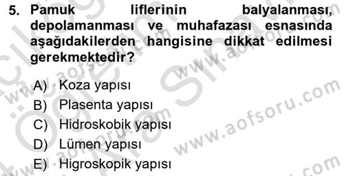 Tarla Bitkileri 2 Dersi 2023 - 2024 Yılı (Vize) Ara Sınav Soruları 5. Soru