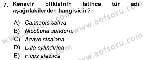 Tarla Bitkileri 2 Dersi 2023 - 2024 Yılı (Vize) Ara Sınav Soruları 7. Soru