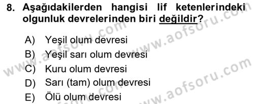 Tarla Bitkileri 2 Dersi 2023 - 2024 Yılı (Vize) Ara Sınav Soruları 8. Soru