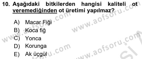 Tarla Bitkileri 2 Dersi 2023 - 2024 Yılı (Final) Dönem Sonu Sınav Soruları 10. Soru