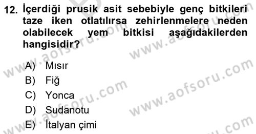 Tarla Bitkileri 2 Dersi 2023 - 2024 Yılı (Final) Dönem Sonu Sınav Soruları 12. Soru