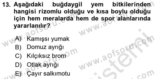 Tarla Bitkileri 2 Dersi 2023 - 2024 Yılı (Final) Dönem Sonu Sınav Soruları 13. Soru