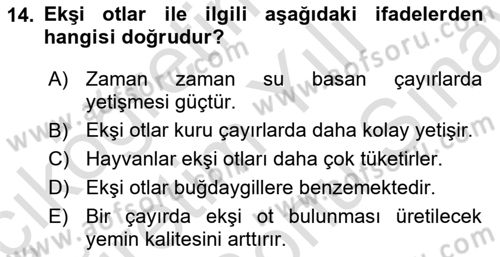 Tarla Bitkileri 2 Dersi 2023 - 2024 Yılı (Final) Dönem Sonu Sınav Soruları 14. Soru
