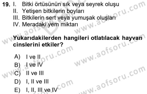 Tarla Bitkileri 2 Dersi 2023 - 2024 Yılı (Final) Dönem Sonu Sınav Soruları 19. Soru