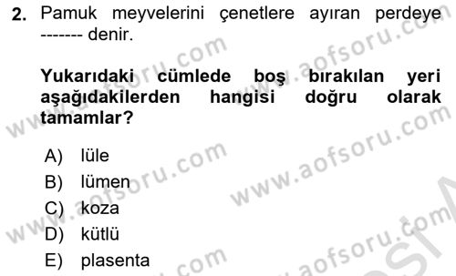 Tarla Bitkileri 2 Dersi 2023 - 2024 Yılı (Final) Dönem Sonu Sınav Soruları 2. Soru