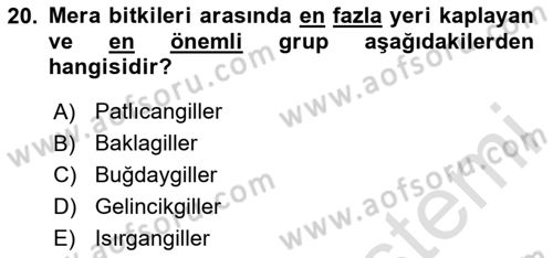 Tarla Bitkileri 2 Dersi 2023 - 2024 Yılı (Final) Dönem Sonu Sınav Soruları 20. Soru