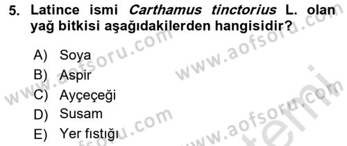 Tarla Bitkileri 2 Dersi 2023 - 2024 Yılı (Final) Dönem Sonu Sınav Soruları 5. Soru