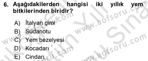 Tarla Bitkileri 2 Dersi 2023 - 2024 Yılı (Final) Dönem Sonu Sınav Soruları 6. Soru