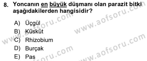 Tarla Bitkileri 2 Dersi 2023 - 2024 Yılı (Final) Dönem Sonu Sınav Soruları 8. Soru
