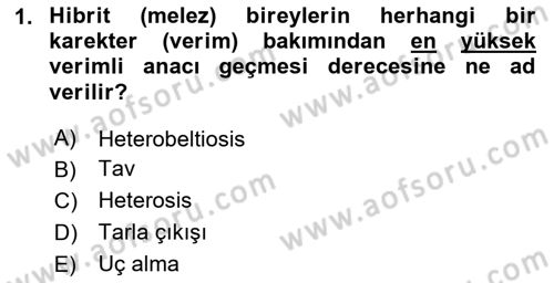 Tarla Bitkileri 2 Dersi 2023 - 2024 Yılı Yaz Okulu Sınav Soruları 1. Soru
