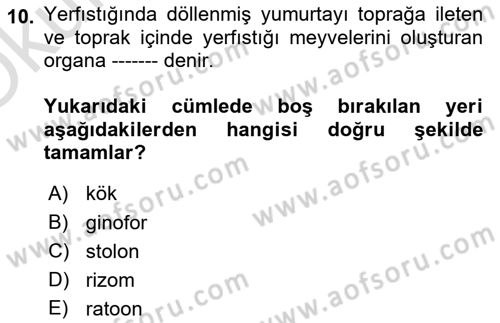Tarla Bitkileri 2 Dersi 2023 - 2024 Yılı Yaz Okulu Sınav Soruları 10. Soru