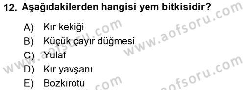 Tarla Bitkileri 2 Dersi 2023 - 2024 Yılı Yaz Okulu Sınav Soruları 12. Soru