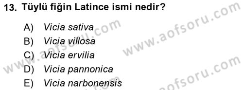 Tarla Bitkileri 2 Dersi 2023 - 2024 Yılı Yaz Okulu Sınav Soruları 13. Soru