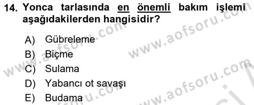 Tarla Bitkileri 2 Dersi 2023 - 2024 Yılı Yaz Okulu Sınav Soruları 14. Soru
