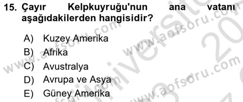 Tarla Bitkileri 2 Dersi 2023 - 2024 Yılı Yaz Okulu Sınav Soruları 15. Soru