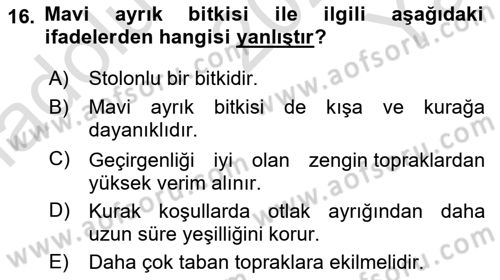Tarla Bitkileri 2 Dersi 2023 - 2024 Yılı Yaz Okulu Sınav Soruları 16. Soru
