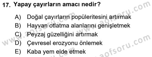 Tarla Bitkileri 2 Dersi 2023 - 2024 Yılı Yaz Okulu Sınav Soruları 17. Soru