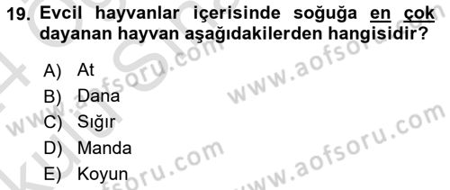 Tarla Bitkileri 2 Dersi 2023 - 2024 Yılı Yaz Okulu Sınav Soruları 19. Soru