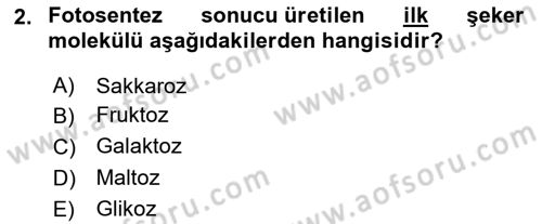 Tarla Bitkileri 2 Dersi 2023 - 2024 Yılı Yaz Okulu Sınav Soruları 2. Soru