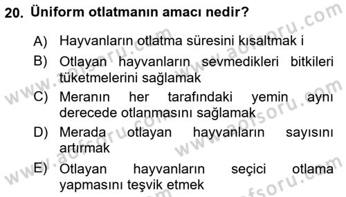 Tarla Bitkileri 2 Dersi 2023 - 2024 Yılı Yaz Okulu Sınav Soruları 20. Soru