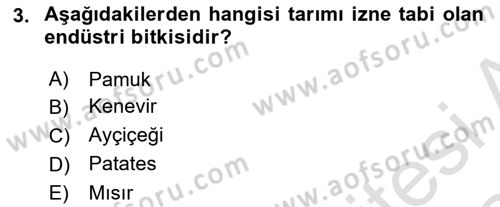 Tarla Bitkileri 2 Dersi 2023 - 2024 Yılı Yaz Okulu Sınav Soruları 3. Soru