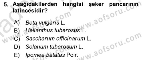 Tarla Bitkileri 2 Dersi 2023 - 2024 Yılı Yaz Okulu Sınav Soruları 5. Soru